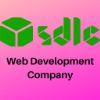 5de320 web development company